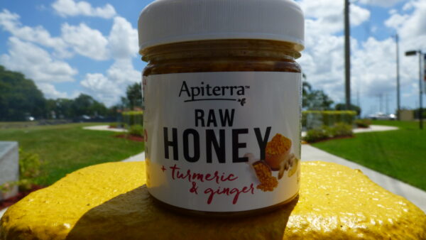 Apiterra Turmeric and Ginger Honey